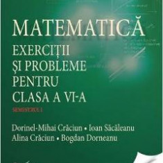 Matematica. Exercitii si probleme pentru cls 6. Semestrul I - Dorinel-Mihai Craciun