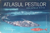 ATLASUL PESTILOR DIN APELE R.P.R-TH. BUSNITA, I. ALEXANDRESCU-274129