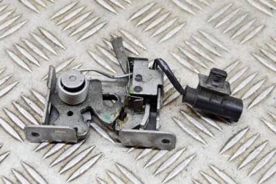 &amp;Icirc;ncuietoare capota BMW i3 I01 2017 OEM: 7299162 17345373 foto
