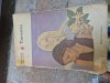 Torente 1 Vintage - Carte Beletristica, Roman