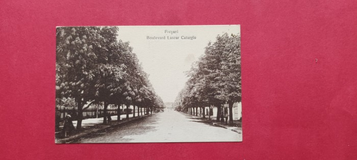 Vrancea Focsani Bulevardul Lascar Catargiu
