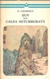 Sun sau Calea neturburata - George Calinescu