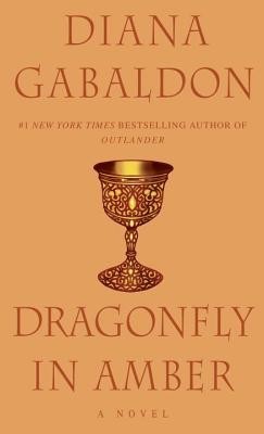 Dragonfly in Amber foto