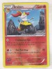 Bnk crc Cartonas Pokemon Braixen holo 25/146