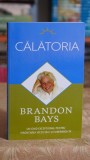 Cumpara ieftin Carte Calatoria - Brandon Bays, Editura Adevar Divin, 2009