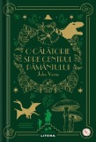 O calatorie spre centrul Pamantului. Volumul 24. Biblioteca pentru copii, Litera