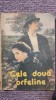 Cele doua orfeline, Adolphe d&#039;Ennery, Ed Moderna 1992, 264 pagini, stare buna