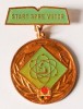INSIGNA START SPRE VIITOR ALAMA CU EMAIL RECE DIAMETRU 30 MM IMPECABILA PIONIER PIONIERI PIONERESC ( CITITI DESCRIEREA ), Romania de la 1950