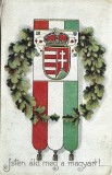 CP1926N Isten &aacute;ld meg a magyart! levelezőlap olasz front futott, Feldpost 91, 1916, carte poștală