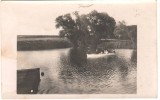 SV * BASARABIA / MOLDOVA * PE IAZ LA DONDUSENI * Foto Interbelica, Baisa, Circulata, Necirculata, Fotografie