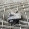 Suport motor st&acirc;nga VW CRAFTER 30-50 Flatbed 2F_ 2011 OEM: A9062411613Y,A9062411713G,A9062411613W 11559156