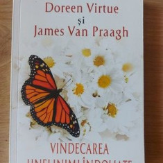 Vindecarea unei inimi indoliate- Doreen Virtue, James Van Praagh