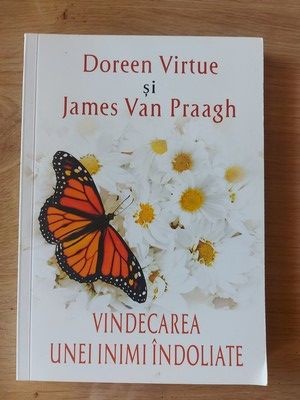 Vindecarea unei inimi indoliate- Doreen Virtue, James Van Praagh