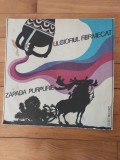 Disc vinil: Ulciorul Fermecat / Zapada Purpurie, Electrecord