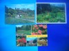 HOPCT LOT 1937 GRADINA BOTANICA BUCURESTI-3 CARTI POSTALE-NECIRCULATE