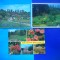 HOPCT LOT 1937 GRADINA BOTANICA BUCURESTI-3 CARTI POSTALE-NECIRCULATE