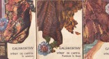 Galsworthy - Sfarsit de capitol, Roman, 3 volume, Editura Cartea Romaneasca, 1983, Brosat, 10 x 18 cm