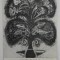 GABRIELA PATULEA - DRAGUT , CATALOG DE EXPOZITIE , 1966