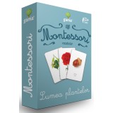 Vocabular.Lumea Plantelor, - Editura Gama
