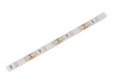 Bandă LED Alb Rece 12V IP65
