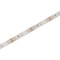 Bandă LED Alb Rece 12V IP65