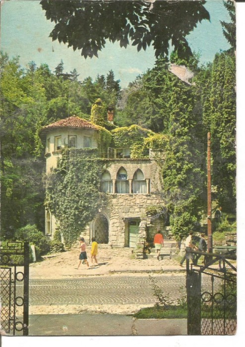 #carte postala-CALIMANESTI-Vila Florilor