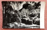 Targu Mures. Castelul Teleky (Teleki) - Circulata, 1959, Printata