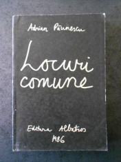 ADRIAN PAUNESCU - LOCURI COMUNE foto