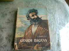 GVADI BIGVA - L. CHIACELI foto