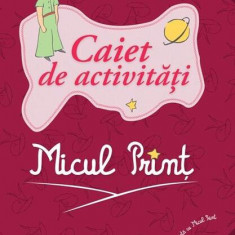 Micul Prinț. Caiet de activități - Paperback brosat - Antoine de Saint-Exupéry - RAO