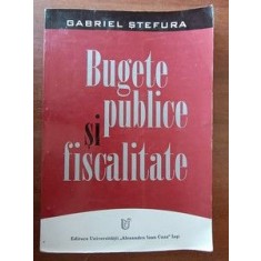 Bugete publice si fiscalitate- Gabriel Stefura