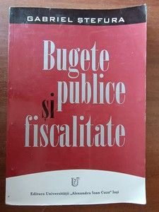 Bugete publice si fiscalitate- Gabriel Stefura foto