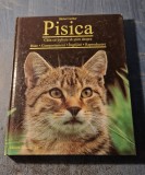 Pisica ceea ce trebuie sa stim despre rase comportament Barbel Gerber