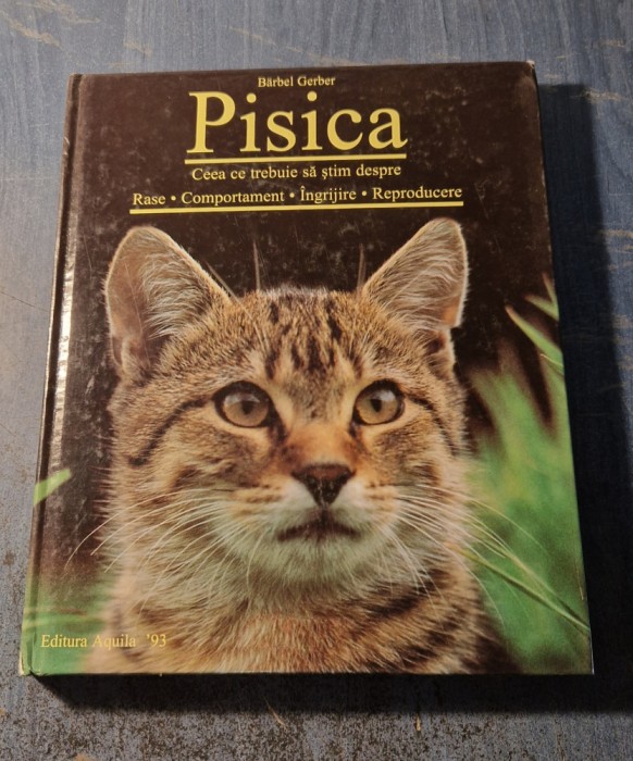 Pisica ceea ce trebuie sa stim despre rase comportament Barbel Gerber