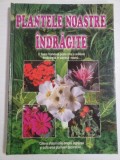 PLANTELE NOASTRE INDRAGITE