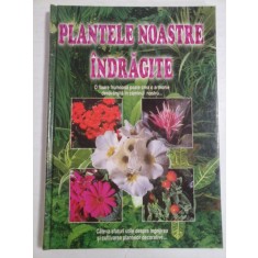 PLANTELE NOASTRE INDRAGITE