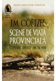 Cumpara ieftin Scene de viata provinciala