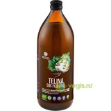 Suc de Telina Ecologic/Bio 1L