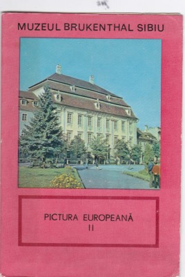 AMS % - SET 6 DIAPOZITIVE - MUZEUL BRUKENTHAL SIBIU, PICTURA EUROPEANA II foto