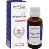 Polygemma 4 (Sinusuri) 30ml