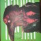 Apocalipsa - Stephen King