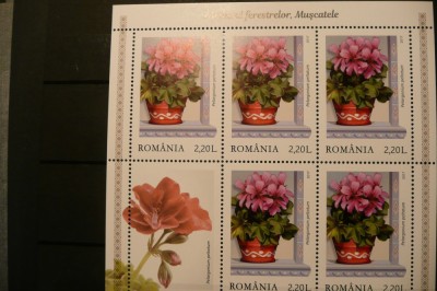 VOC 2017 LP2169- Zambetul ferestrelor, muscatele- minicoli de 5 +1 vinieta foto