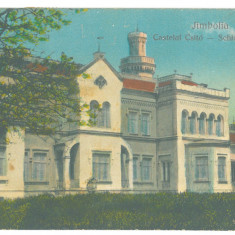 336 - JIMBOLIA, Timis, Castle, Romania - old postcard - used - 1925