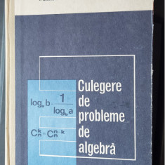 CULEGERE DE PROBLEME DE ALGEBRA PENTRU LICEE STAMATE , STOIAN