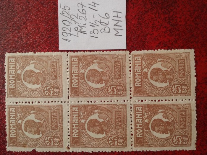 1920- Romania- Ferd. b. mic Mi267-brun-bl.6 vert.-MNH