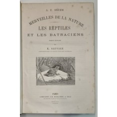 A. E. BREHM, MERVEILLES DE LA NATURE, LES REPTILES ET LES BATRACIENS par E. SAUVAGE - PARIS, 1889