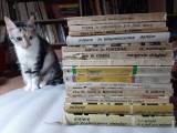 21 vol. colecția &bdquo;Automatică Informatică Electronică Management&rdquo;, seria INIȚIERE (Radiocomunicatii, Sateliti, Programare, Sonorizare, Televiziune etc), Tehnica