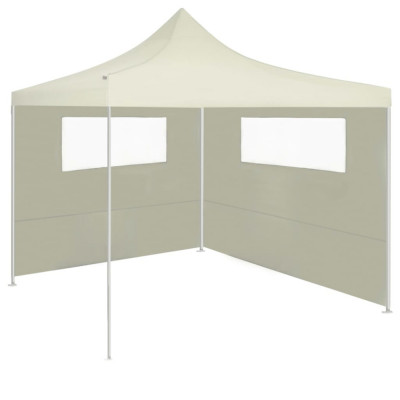 Perete lateral foisor cu ferestre, 6x2 m, crem foto