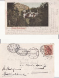 Sinaia (clasica) - Castelul Peles - clasica