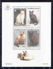 THAILANDA 1995 FAUNA ANIMALE DOMESTICE PISICI foto